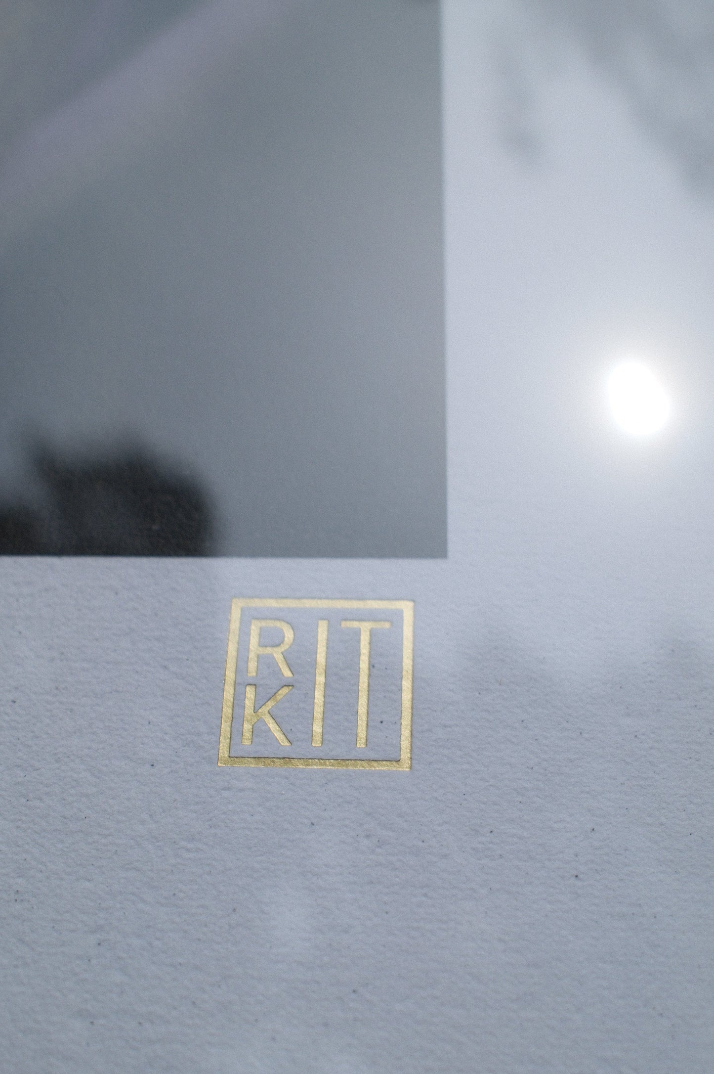 WATER LILY ART PRINT